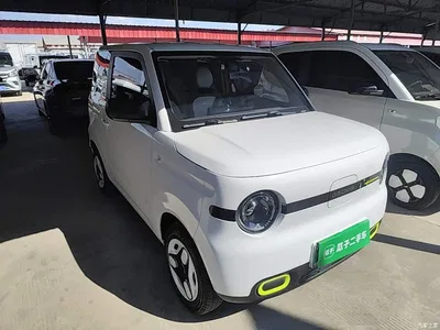 2025 Geely Galaxy Panda mini 210km Vitality Bear, фото 4, лот 10433314