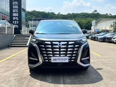 2024 Denza D9 PIONEER 4-Seater Pioneer Edition, фото 2, лот 10399580