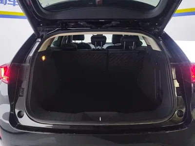 2017 WEY VV7 2.0T Flagship, фото 4, лот 10449492