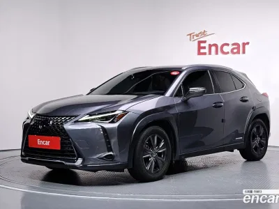2019 Lexus UX 250h 2.0 2WD, фото 1, лот 10520529