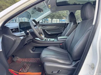 2022 Venucia Big V 260T Dark Horse Edition·Idol, фото 4, лот 11146532