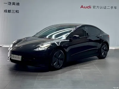 2022 Tesla Model 3 Model Rear-Wheel Drive Version, фото 1, лот 11133071