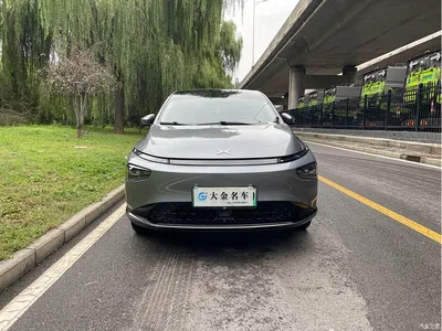 2021 XPeng G3 G3i 460G, фото 2, лот 11201862