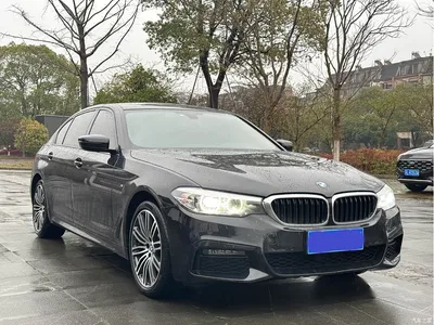 2019 BMW 5 Series 530Li Leading M Sport Package, фото 3, лот 10443913