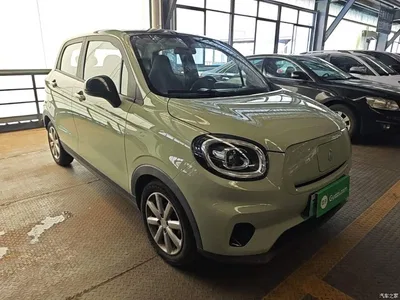 2022 Leapmotor T03 Jade Edition, фото 4, лот 10441666