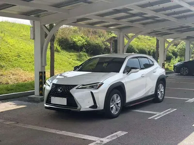 2020 Lexus UX 260h Explore Cool Edition, фото 1, лот 10313228