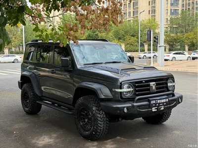 2024 Tank 300 Model 330 3.0T V6, фото 3, лот 10392246