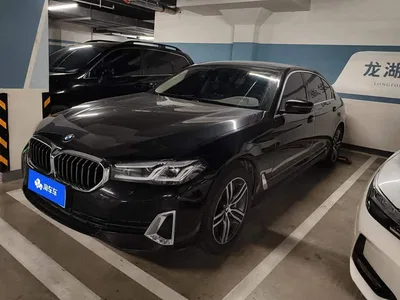 2021 BMW 5 Series 530Li xDrive Luxury Package, фото 1, лот 11248820