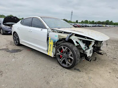 2019 KIA STINGER GT1, фото 4, лот 10590572