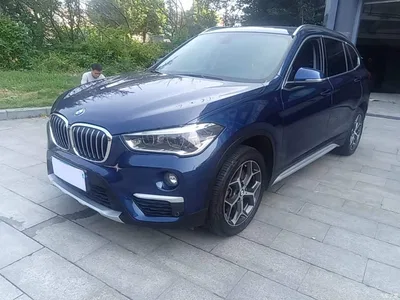 2019 BMW X1 xDrive20Li Premium Model, фото 1, лот 11178971