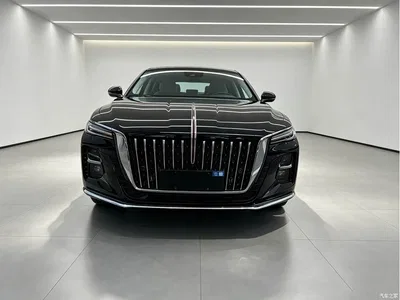 2025 Hongqi H5 1.5T DCT Flag Rhythm 500,000 Units Memorial Edition, фото 2, лот 10288639