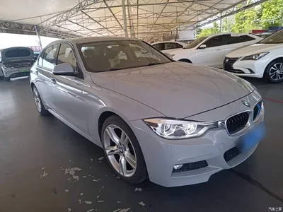 2019 BMW 3 Series 320Li M Sport Package, фото 4, лот 10457742