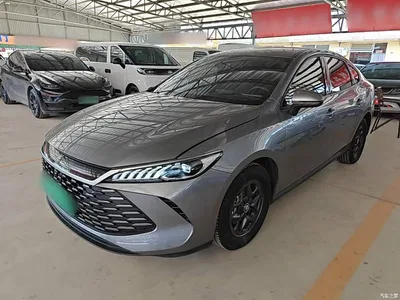 2025 BYD Qin PLUS DM-i Smart Drive 55KM Leader, фото 1, лот 10362777