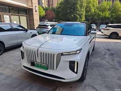 2021 Hongqi E-HS9 460km Flagship Comfort 6-seater, фото 2, лот 10289162