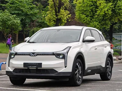 2021 Nezha Auto Neta U Pro 400 Industry Custom Edition, фото 1, лот 11074810