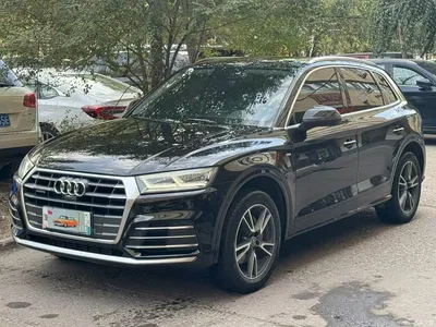 2020 Audi Q5L 45 TFSI Exclusive Fashion, фото 3, лот 11201715