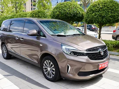 2022 Buick GL8 Land Business Class 652T Luxury, фото 3, лот 10256466