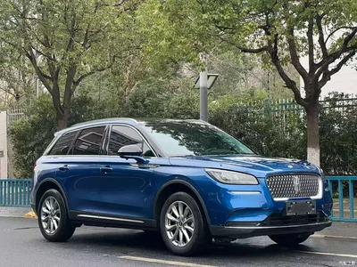 2020 Lincoln Adventurer 2.0T 2WD Premium Enjoyment Edition, фото 3, лот 10357606