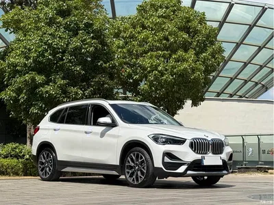 2022 BMW X1 xDrive25Li Premium, фото 3, лот 11191875