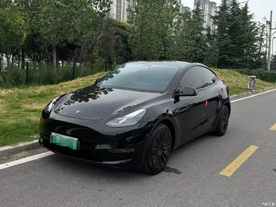 2021 Tesla Model Y Standard Range Rear-Wheel Drive, фото 1, лот 10453985