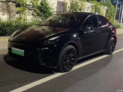 2023 Tesla Model Y Rear-Wheel Drive Edition, фото 3, лот 10632498
