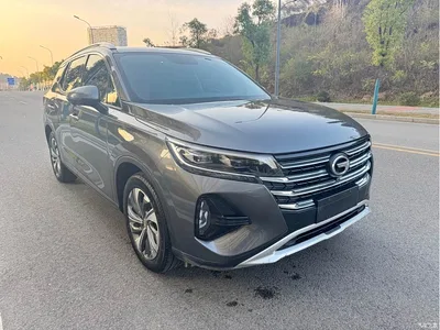 2021 GAC Trumpchi Trumpchi GS4 270T Auto Smart Connect Tech, фото 2, лот 10419769