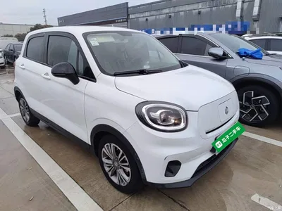 2021 Leapmotor T03 400 Comfort Edition, фото 4, лот 11203115