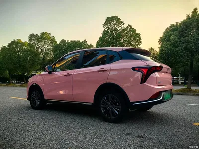 2021 Nezha Auto Nezha V Long Range Industry Custom Edition, фото 4, лот 10829956