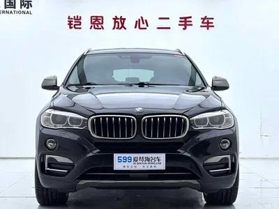2018 BMW X6 xDrive35i Leading Model, фото 3, лот 10469335
