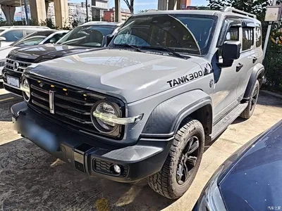 2021 Tank 300 Off-road Version 2.0T Conqueror, фото 1, лот 11545991