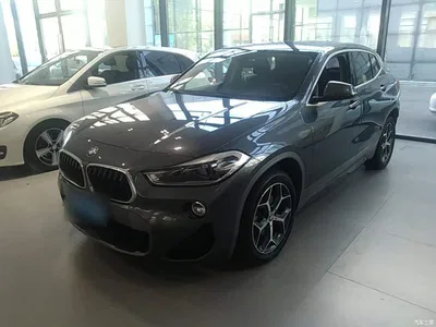 2019 BMW X2 (Import) sDrive20i M Off-Road Package China VI, фото 2, лот 11582305