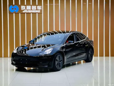 2020 Tesla Model 3 Standard Range Rear-Wheel Drive Upgrade, фото 1, лот 10356460