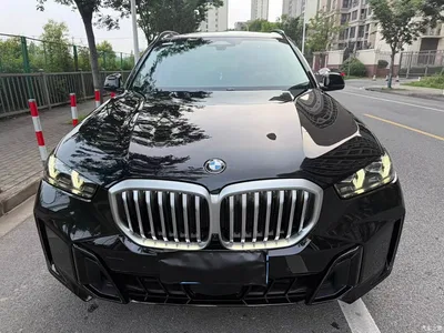 2025 BMW X5 Model xDrive 30Li M Sport Blackout Package, фото 1, лот 10476534