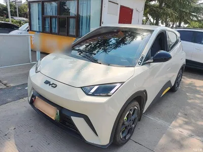 2024 BYD Seagull Glory Edition 305km Freedom Edition, фото 1, лот 10259732