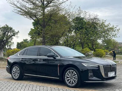 2023 Hongqi H5 2.0T Auto Smart Connect Flag Comfort, фото 3, лот 10288865