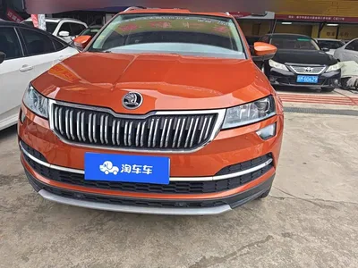 2019 Škoda Karoq TSI280 Smart Drive Premium Edition China V, фото 1, лот 10361639