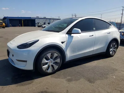 2023 TESLA MODEL Y, фото 1, лот 11577945