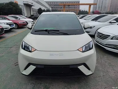 2023 BYD Seagull Freedom Edition, фото 3, лот 10812710