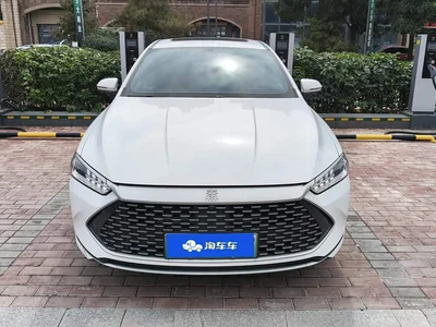 2023 BYD Qin PLUS Champion Edition DM-i 120KM Excellence, фото 2, лот 10694031