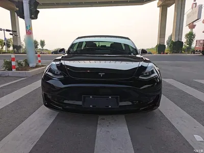 2020 Tesla Model 3 Standard Range Rear-Wheel Drive Upgrade, фото 3, лот 10826355