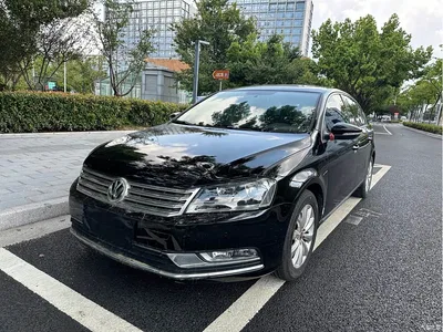 2013 Volkswagen Magotan 1.8TSI Luxury, фото 1, лот 10436280