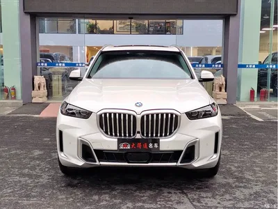 2023 BMW X5 xDrive 30Li Premium M Sport Package, фото 2, лот 10462893