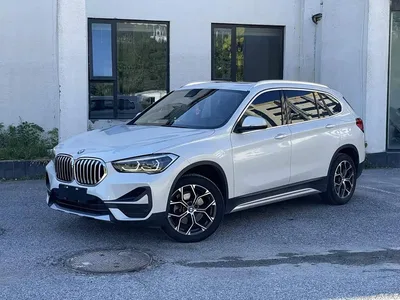 2020 BMW X1 sDrive20Li Premium Edition, фото 1, лот 10465077