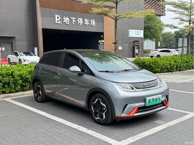 2021 BYD Dolphin Model 405km Fashion Edition, фото 3, лот 11087861