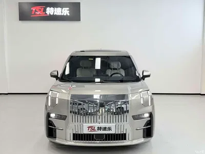 2022 ZEEKR 009 WE Edition, фото 2, лот 10291643
