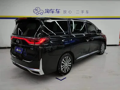 2021 GAC Trumpchi Trumpchi M8 Leading Show Series 390T Prestige Edition, фото 3, лот 10415498