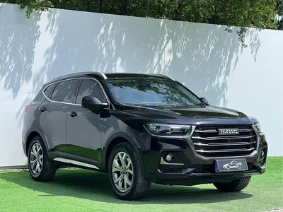 2021 Haval H6 National Trend Edition 1.5GDIT Automatic Champion Edition, фото 3, лот 10282309