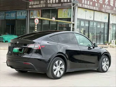 2022 Tesla Model Y Rear-Wheel Drive Version, фото 4, лот 11081372