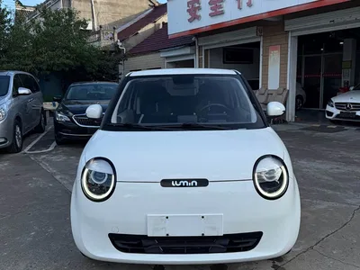 2022 Changan Qiyuan Changan Lumin 210km Sweet Edition, фото 2, лот 10407765