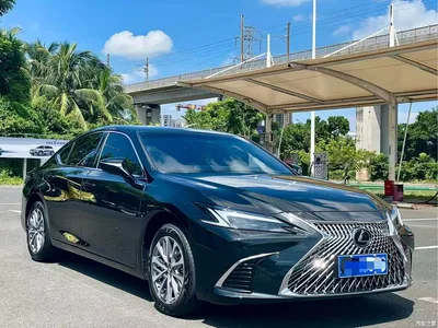 2025 Lexus ES 200 Ultimate Edition, фото 3, лот 11548305